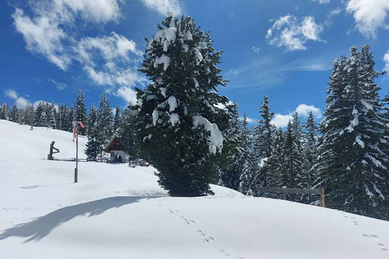 Winterlandschaft in Tirol